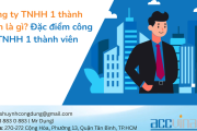 Tổng quan về Công ty TNHH Một Thành Viên