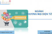 Thành lập công ty thương mại điện tử
