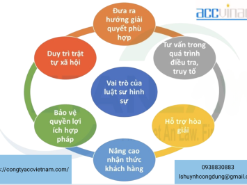 Luật sư hình sự tại Quận 12, Tp.Hồ Chí Minh