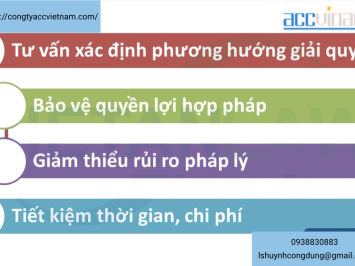 Luật sư hình sự tại Quận 11, Tp.Hồ Chí Minh